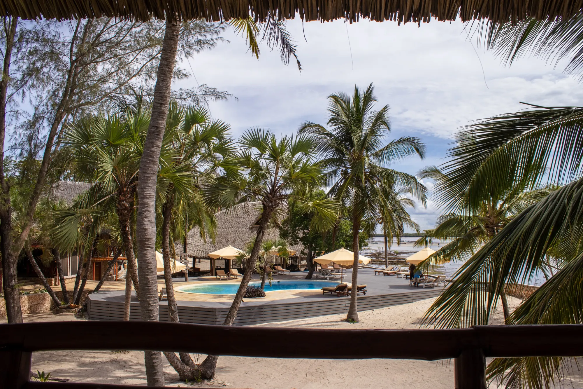 View over the pool and palm gardens to the sea