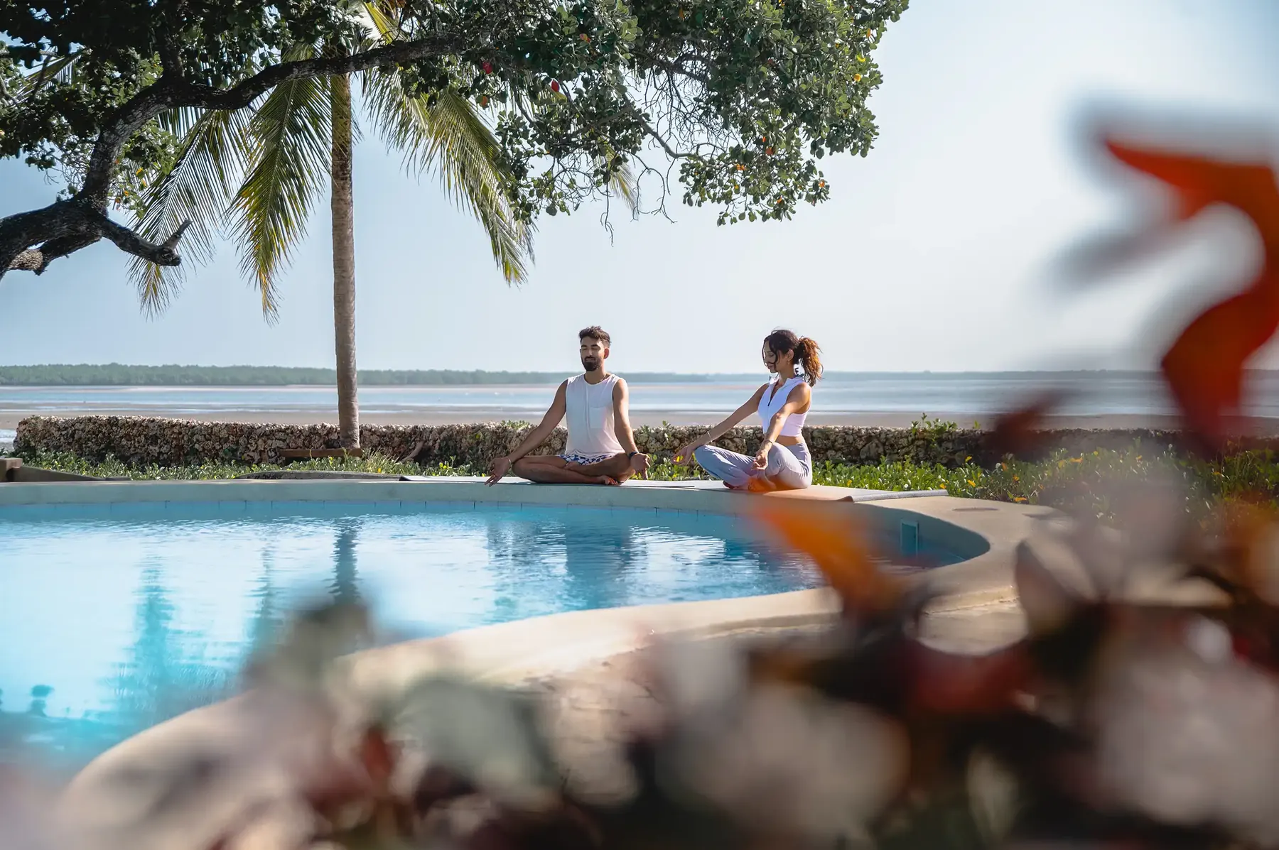 The pool under the great fig tree