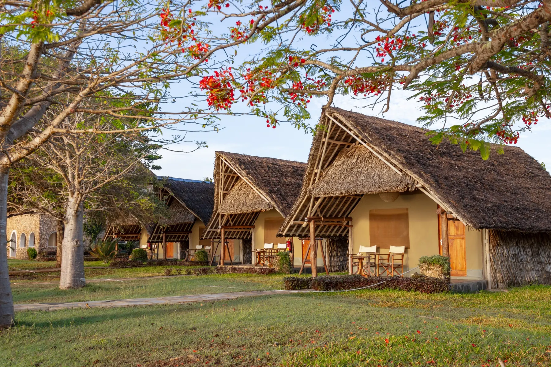 Makuti bungalows in the gardens